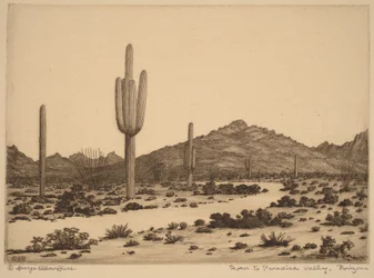 Weg naar Paradise Valley, Arizona