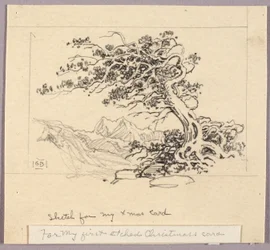Schets voor kerstkaart (Windswept Pine [nr. 1])