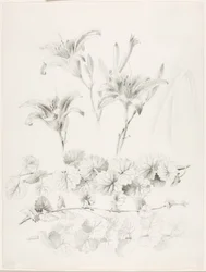 Zonder titel (Lelies en grondlelie) (Glecoma Hederacea)