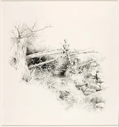 Zonder titel (Bosstroom)