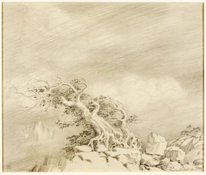 Zonder titel (transfer tekening voor Storm bij Timberline)