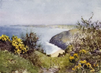 Carbis Bay