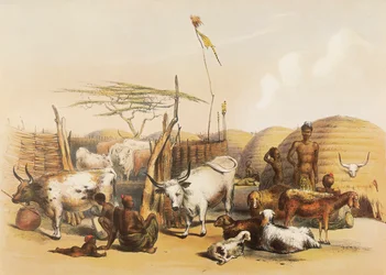 Een Zulu-kraal aan de Umgaki-rivier in Natal