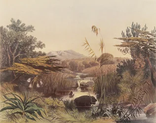 De Umnonoti-rivier bij schemering