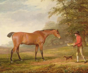 Een bruine hengst benaderd door een staljongen met voedsel en een halster, 1789