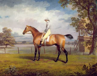 De Vermomming van de Hertog van Hamilton met Jockey