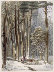 Winter, Belemmerde Reizigers in een Pijnboombos, uit Harveys Scènes van het Primitieve Woud van Amerika