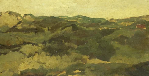 Een heidelandschap, vermoedelijk in Drenthe