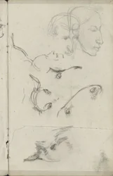 Hoofden van paarden en mensen