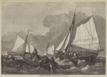 Kabeljauw vissen in de Noordzee