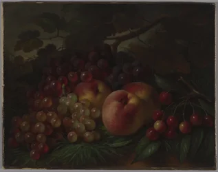 Perziken, druiven en kersen, ca 1860-1870