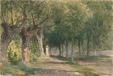 Laan met bomen