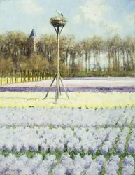Het ooievaarsnest