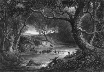 Landschap, met Jacques en gewond hert (gravure)