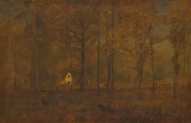 Herfstbossen