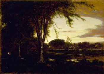 Landschap