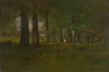 De rand van het bos