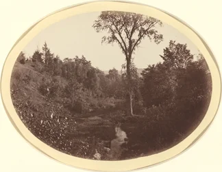 Landschap bij Williams College