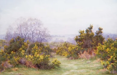 Een Surrey Common