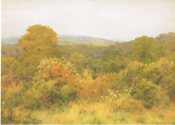 Natuurtuin