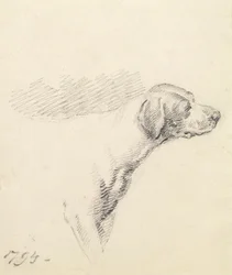 Studie van een hond, 1794