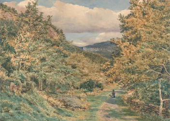 Een weg bij Bettws-y-Coed