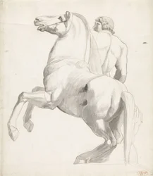 Ruiter van Montecavallo