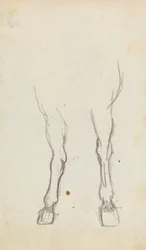 Studie van de hoeven van een paard