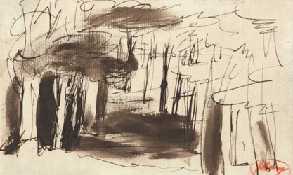 Boslandschap
