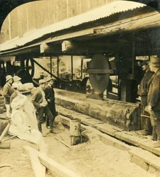 De Houtindustrie, Warburton, Victoria, Australië, 1909