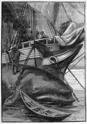 Roman van Jules Verne ‘Les histoires de Jean-Marie Cabidoulin’ (1901), Hetzel-collectie/Extraordinaires, illustratie door George Roux. ‘Walvis afgemeerd aan walvisvaartuig’