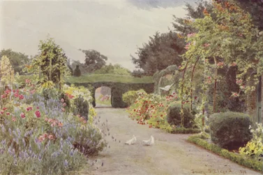 Chinese Rozen en Lavendel, Palmerstown