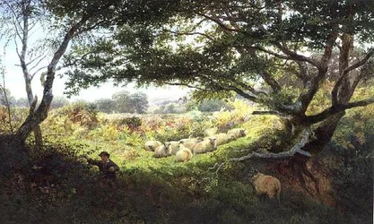 Een herdersjongen en kudde schapen