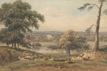 Een Veraf Zicht op Ampthill Park