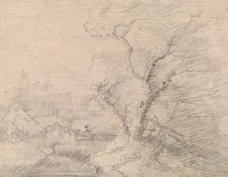 Landschap met voetbrug en grote boom