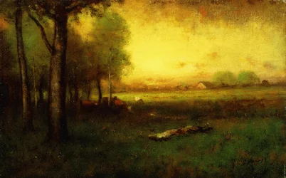Koeien Grazend bij Zonsondergang