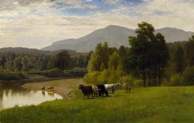Weidelanden, 1867