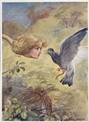 Alice met een Lange Nek, die een Duif Bang Maakt