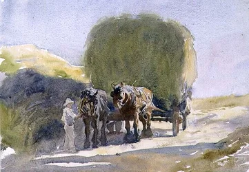 Hooiberg in het zonlicht