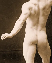 Eugen Sandow, in klassieke oud-Grieks-Romeinse pose, detail van DGC 1073442, ca. 1894