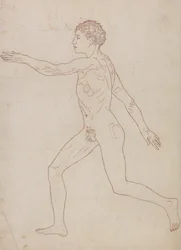 Een vergelijkende anatomische uiteenzetting van de structuur van het menselijk lichaam met dat van een tijger en een hoender: Menselijke figuur, zijaanzicht (schetsstudie in omgekeerde volgorde van tabel VIII)