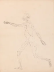Een vergelijkende anatomische uiteenzetting van de structuur van het menselijk lichaam met dat van een tijger en een hoender: Figuur van de mens, zijaanzicht (voor de sleutelfiguur bij tabel XIII)