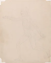 Een vergelijkende anatomische uiteenzetting van de structuur van het menselijk lichaam met dat van een tijger en een hoender: Menselijke figuur, zijaanzicht