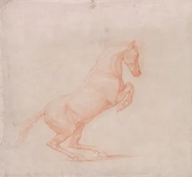 Een Steigerend Paard, naar Rechts