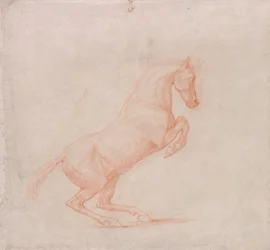 Een steigerend paard, naar rechts