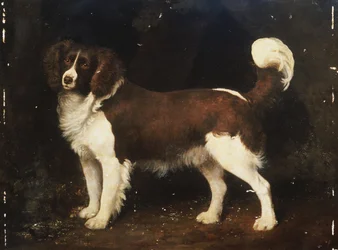 Een spaniël in een landschap, 1784