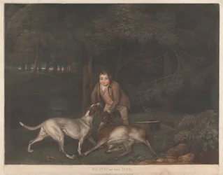 Dood van de hinde