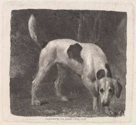 Hond (Een Foxhound op het Spoor) gegraveerd door de kunstenaar, uitgegeven 1788