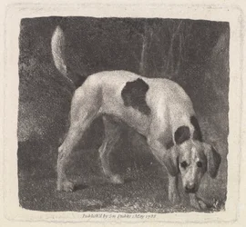 Hond [Een Vosshond op het Spoor]