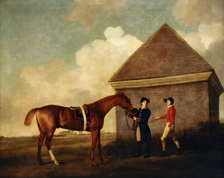 „Eclipse”, een donker kastanjebruin renpaard dat door een stalknecht wordt vastgehouden, met een jockey, mogelijk Jack Oakley, bij het Rubbing Down House in Newmarket, 1770